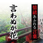 【言わぬが花】－ 現代に使いたい日本人の感情、情緒あふれる言葉
