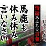 【馬鹿も休み休み言いなさい】－ 現代に使いたい日本人の感情、情緒あふれる言葉