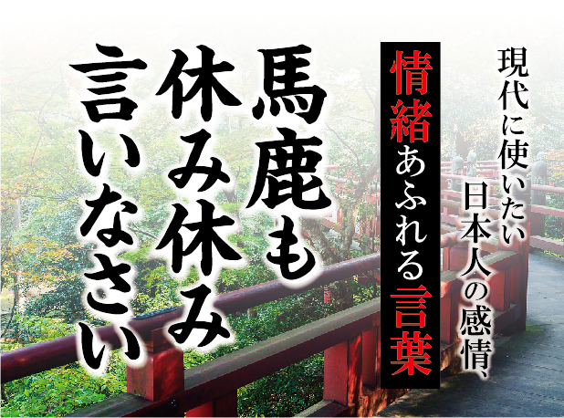 【馬鹿も休み休み言いなさい】－ 現代に使いたい日本人の感情、情緒あふれる言葉