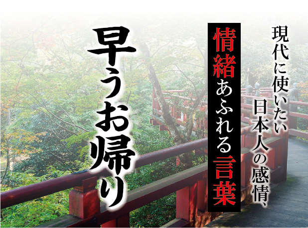 【早うお帰り】－ 現代に使いたい日本人の感情、情緒あふれる言葉