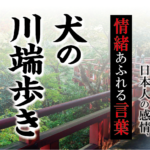 【犬の川端歩き（いぬのかわばたあるき）】－ 現代に使いたい日本人の感情、情緒あふれる言葉