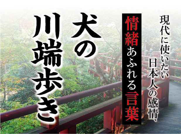 【犬の川端歩き（いぬのかわばたあるき）】－ 現代に使いたい日本人の感情、情緒あふれる言葉