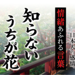 【知らないうちが花】－ 現代に使いたい日本人の感情、情緒あふれる言葉