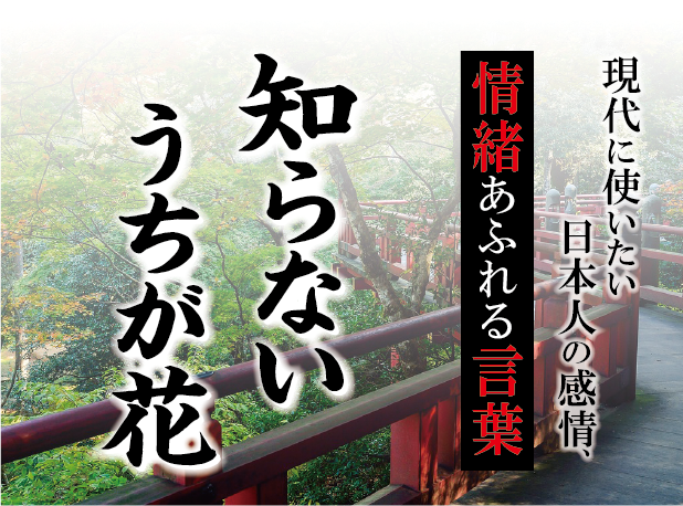 【知らないうちが花】－ 現代に使いたい日本人の感情、情緒あふれる言葉