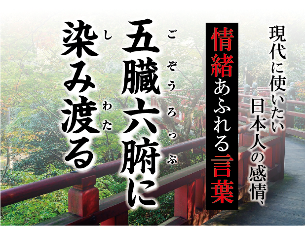 【五臓六腑（ごぞうろっぷ）にしみわたる】－ 現代に使いたい日本人の感情、情緒あふれる言葉