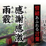 【感謝感激雨霰（かんしゃかんげきあめあられ）】－ 現代に使いたい日本人の感情、情緒あふれる言葉