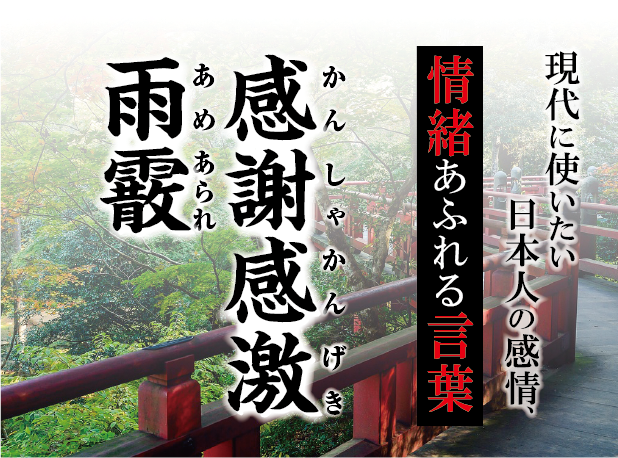 【感謝感激雨霰（かんしゃかんげきあめあられ）】－ 現代に使いたい日本人の感情、情緒あふれる言葉