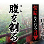 腹を割る（はらをわる）】－ 現代に使いたい日本人の感情、情緒あふれる言葉