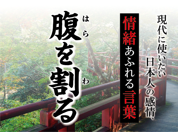 腹を割る（はらをわる）】－ 現代に使いたい日本人の感情、情緒あふれる言葉