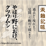 東 雑記帳 － やはり野におけ、クツワムシ