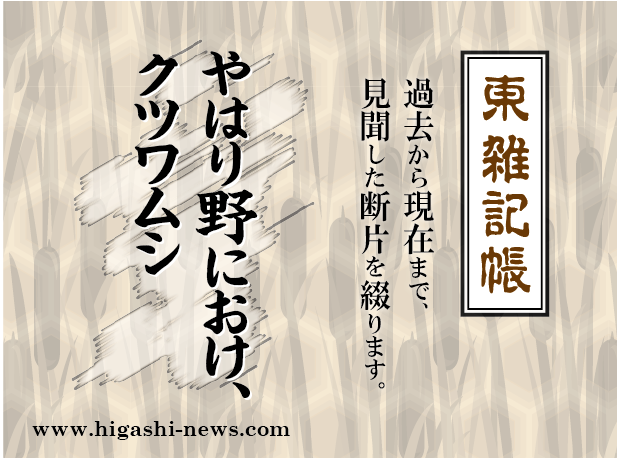 東 雑記帳 － やはり野におけ、クツワムシ