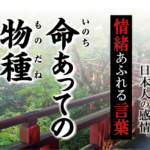 【命あっての物種（いのちあってのものだね）】－ 現代に使いたい日本人の感情、情緒あふれる言葉