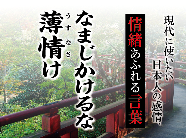 【なまじかけるな薄情け（うすなさけ）】－ 現代に使いたい日本人の感情、情緒あふれる言葉