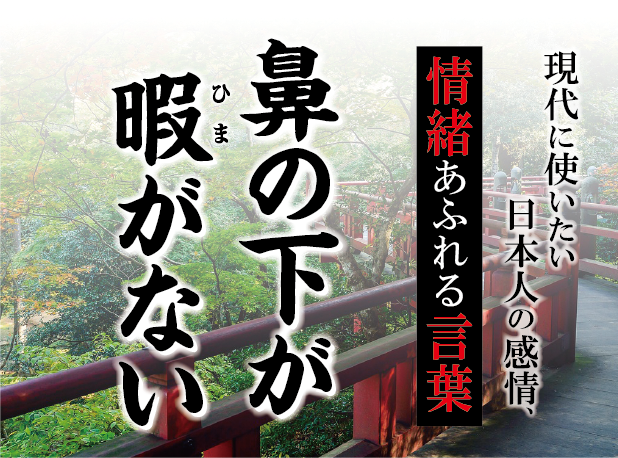 【鼻の下が暇がない（はなのしたがひまがない）】－ 現代に使いたい日本人の感情、情緒あふれる言葉