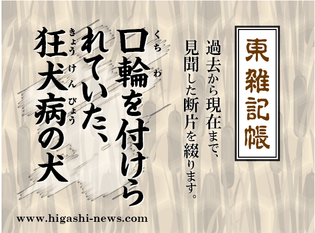 東 雑記帳 － 口輪を付けられていた、狂犬病の犬