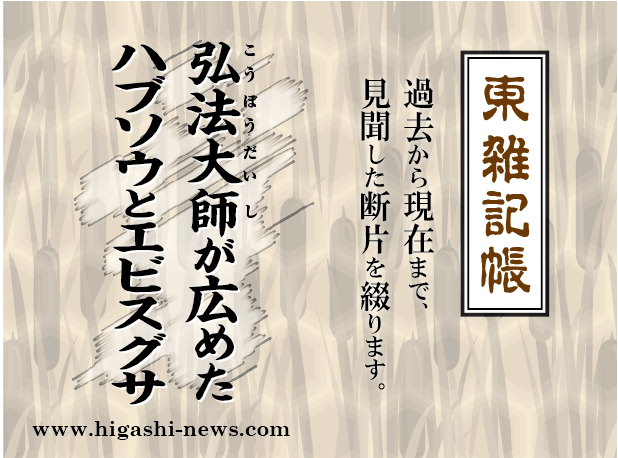 東 雑記帳 － 弘法大師が広めたハブソウとエビスグサ