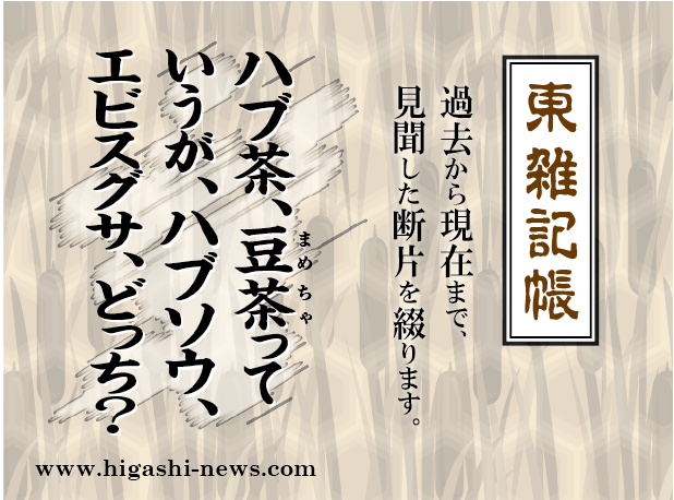 東 雑記帳 － ハブ茶、豆茶っていうが、ハブソウ、エビスグサ、どっち？