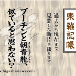 東 雑記帳 － プーチンと朝青龍、似ていると思わない？