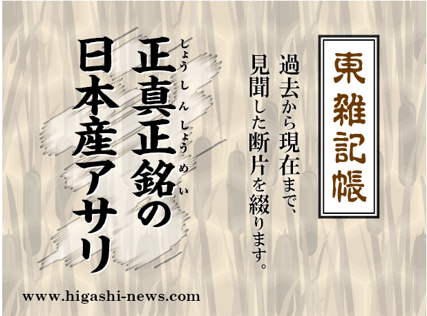 東 雑記帳 － 正真正銘の日本産アサリ