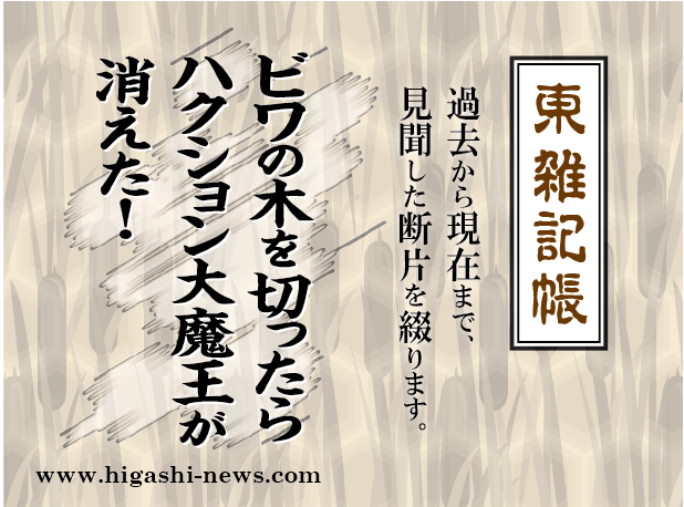 東 雑記帳 － ビワの木を切ったら、ハクション大魔王が消えた！