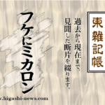 東 雑記帳 － フケにミカロン。でも、フケが止まらない