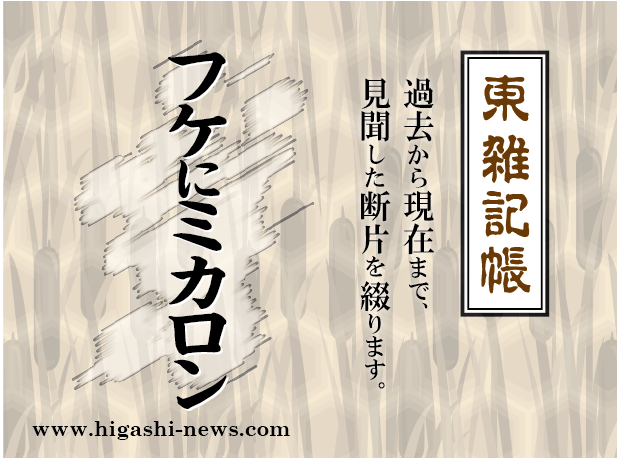 東 雑記帳 － フケにミカロン。でも、フケが止まらない