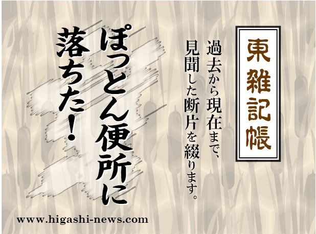 東 雑記帳 － ぽっとん便所に落ちた！？