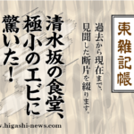 東 雑記帳 － 清水坂の食堂、天丼の極小エビに驚いた！