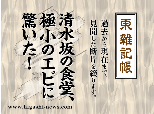 東 雑記帳 － 清水坂の食堂、天丼の極小エビに驚いた！