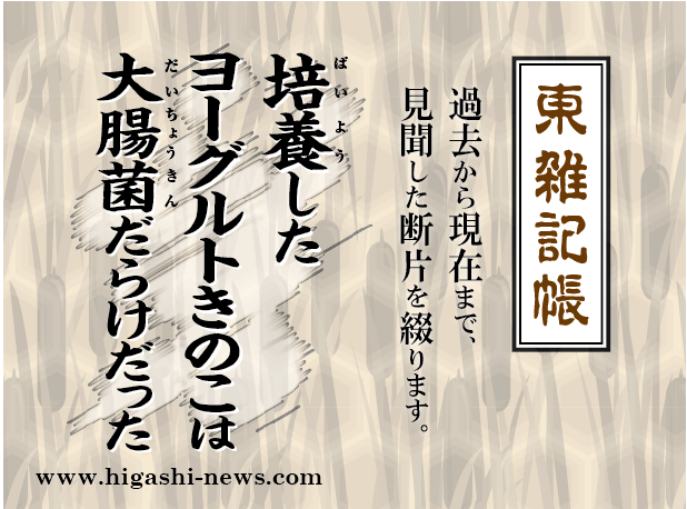 東 雑記帳 － 培養したヨーグルトきのこは大腸菌だらけだった