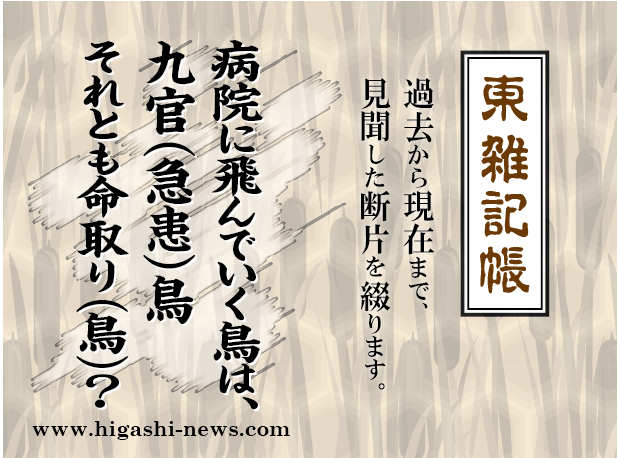 東 雑記帳 － 病院に飛んでいく鳥は、九官（急患）鳥それとも命取り（鳥）？